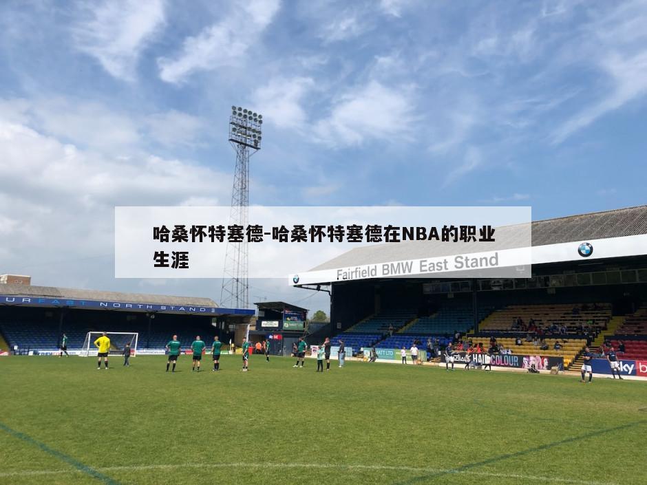 哈桑怀特塞德-哈桑怀特塞德在NBA的职业生涯