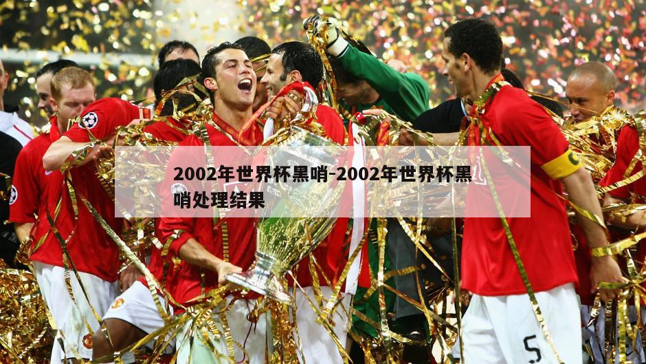 2002年世界杯黑哨-2002年世界杯黑哨处理结果