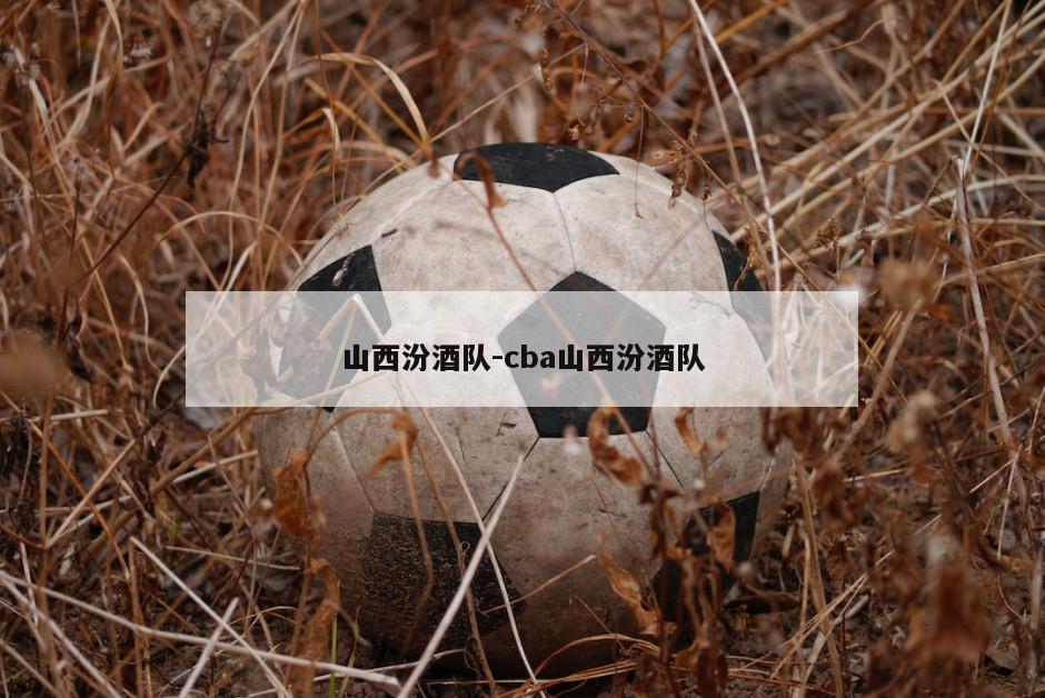 山西汾酒队-cba山西汾酒队