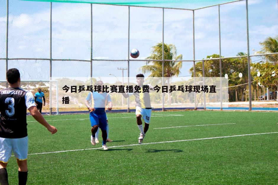 今日乒乓球比赛直播免费-今日乒乓球现场直播