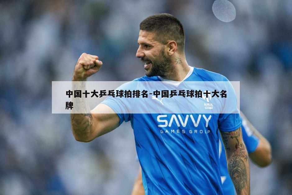中国十大乒乓球拍排名-中国乒乓球拍十大名牌