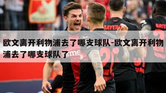 欧文离开利物浦去了哪支球队-欧文离开利物浦去了哪支球队了