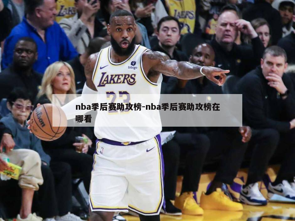 nba季后赛助攻榜-nba季后赛助攻榜在哪看