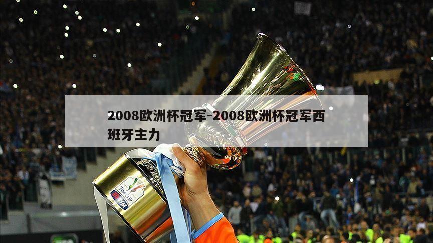 2008欧洲杯冠军-2008欧洲杯冠军西班牙主力