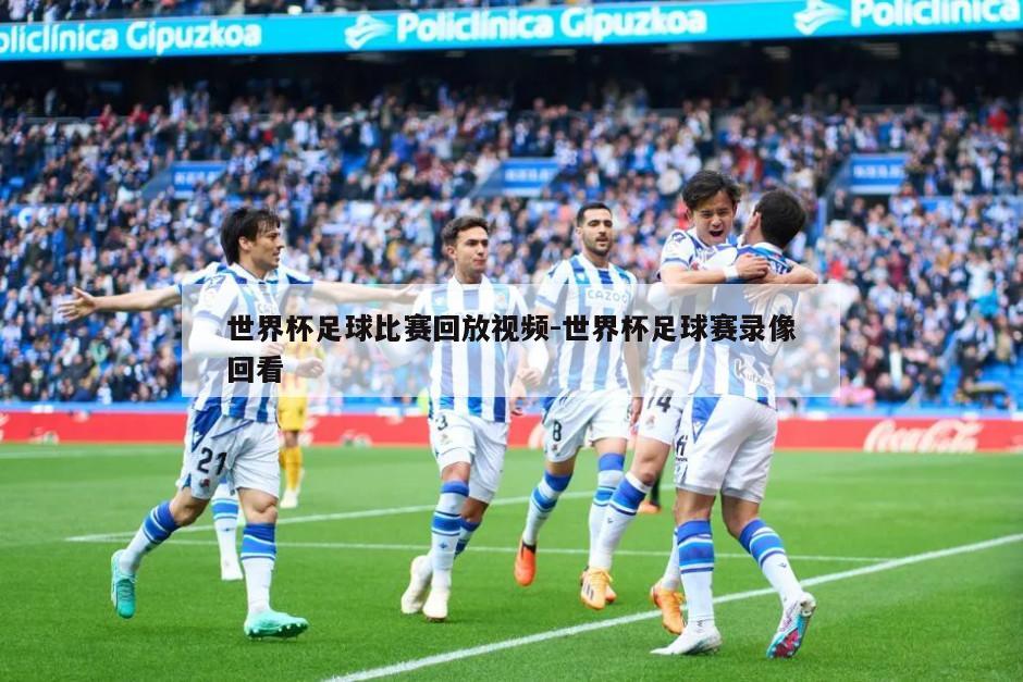 世界杯足球比赛回放视频-世界杯足球赛录像回看